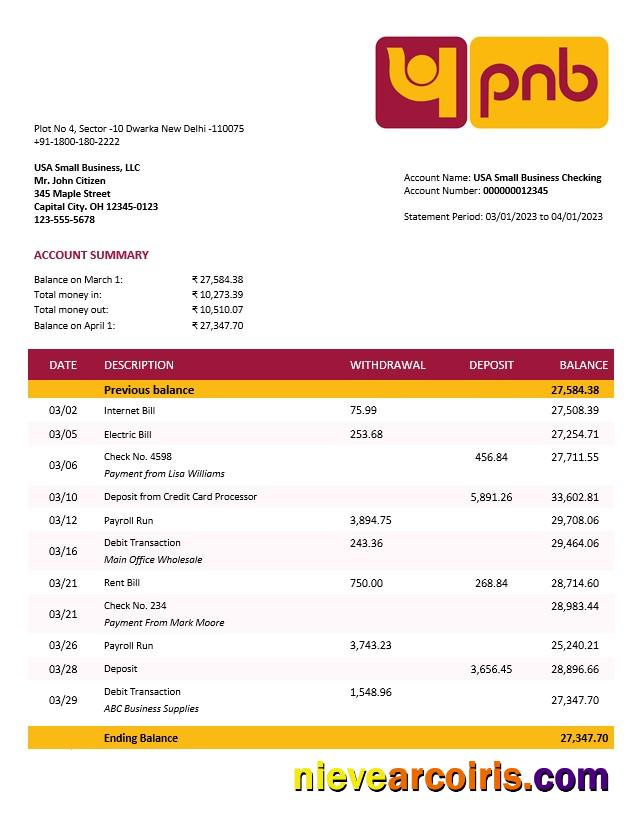 Punjab National Bank business statement
